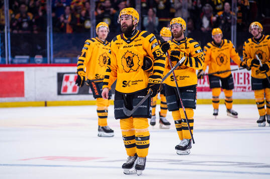 Skellefteås Luke Witkowski deppar